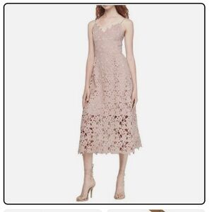 Express Blush Lace Midi Dress NEW